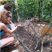 Laureanda in Scienze per l'investigazione e la sicurezza, impartisco ripetizioni di Italiano, Storia, Geografia, Inglese, Francese e Spagnolo per studenti delle medie e superiori